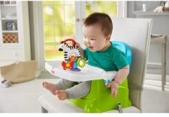 Fisher Price - Activity Zebra - Rammelaar - Speeltje En Bijtring - Grijpspeelgoed -Aanbiedingen BIBS Winkel 1200x835 1