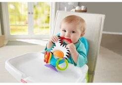 Fisher Price - Activity Zebra - Rammelaar - Speeltje En Bijtring - Grijpspeelgoed -Aanbiedingen BIBS Winkel 1200x842 4