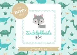 Zindelijkheidsbox - Jongen Editie - Zindelijkheidstraining Kind - Vanaf 2 Jaar - Incl Beloningssysteem - Gratis Online Support