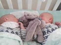 MijnNami Speenknuffel Konijntje Zonder Speen - Afneembaar Speentje - BPA Vrij 15 MijnNami Speenknuffel Konijntje Zonder Speen - Afneembaar Speentje - BPA Vrij -Aanbiedingen BIBS Winkel 1200x900 191