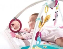 Tiny Love Deluxe Babygym - Princess Tales - Roze -Aanbiedingen BIBS Winkel 1200x942 7