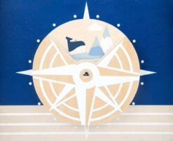 Baby Walvis Loopwagen - Houten Speelgoed Vanaf 1 Jaar 19 Baby Walvis Loopwagen - Houten Speelgoed Vanaf 1 Jaar -Aanbiedingen BIBS Winkel 1200x976 2