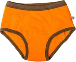 Zoocchini Oefenbroekjes 2-3 Jaar Boy Safari -Aanbiedingen BIBS Winkel 1200x985 4