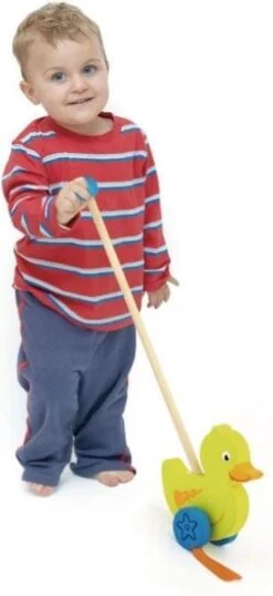 Duwstok - Eend -Aanbiedingen BIBS Winkel 551x1200