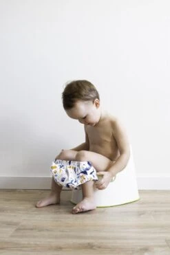 HappyBear - Oefenbroekje Boerderij | 2-4 Jaar - Onesize - Zindelijkheidstraining - Potjestraining -Aanbiedingen BIBS Winkel 800x1200 13