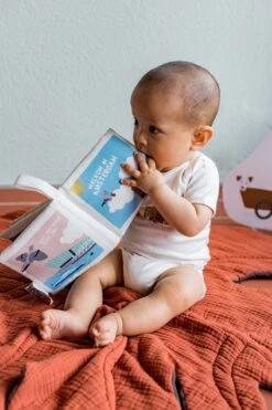 Zacht Babyboekje Amsterdam - 100% Katoen - Fairly Made - In Mooie Geschenkverpakking - Duurzaam En Origineel Kraamcadeau -Aanbiedingen BIBS Winkel 800x1200 185