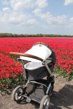 Dooky Universal Cover Zonnescherm Kinderwagen - Crème -Aanbiedingen BIBS Winkel 800x1200 322