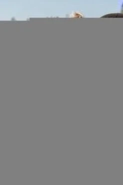 Baby's Only Voetenzak Buggy - Buggyzak Classic - Zand - Geschikt Voor 3-puntsgordel -Aanbiedingen BIBS Winkel 800x1200 377