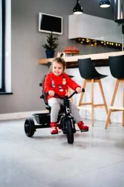 Lionelo Haari - Driewieler - Drankhouder - 2in1 - Tot 36+ -Aanbiedingen BIBS Winkel 800x1200 464