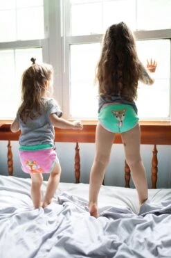 Zoocchini Oefenbroekjes Girl Woodland Princesses 2-3 Jaar 7 Zoocchini Oefenbroekjes Girl Woodland Princesses 2-3 Jaar -Aanbiedingen BIBS Winkel 800x1200 5