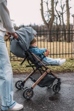 MoMi Wandelwagen - Compacte Lichtgewicht Buggy - Estelle - Gray-Gold (geschikt Van 6mnd - 15kg) -Aanbiedingen BIBS Winkel 801x1200 108