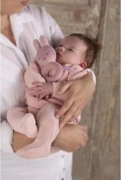 Nijntje - Rammelaar - Pink Baby Rib - 0+ Maanden -Aanbiedingen BIBS Winkel 810x1200 2