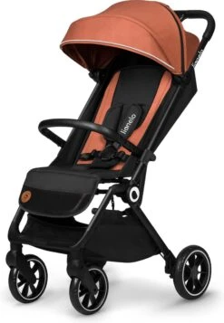 Lionelo Buggy Cloe - Kinderwagen Premium + - Tot 22 Kg - Verstelbare Rugleuning - 5-punts Veiligheidsgordels - Grote Zwenkwielen - Klamboe - Bekerhouder - Lichtgewicht - Compact - Waterdicht 22 Lionelo Buggy Cloe - Kinderwagen Premium + - Tot 22 Kg - Verstelbare Rugleuning - 5-punts Veiligheidsgordels - Grote Zwenkwielen - Klamboe - Bekerhouder - Lichtgewicht - Compact - Waterdicht -Aanbiedingen BIBS Winkel 830x1200 84