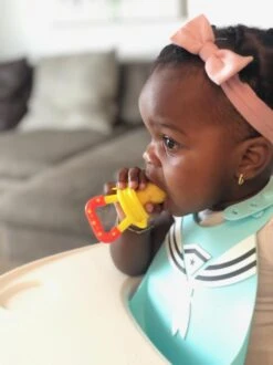 2x Fruitspeen Kinderbestek - Speen Babyvoeding Roze/Paars -Aanbiedingen BIBS Winkel 899x1200 59